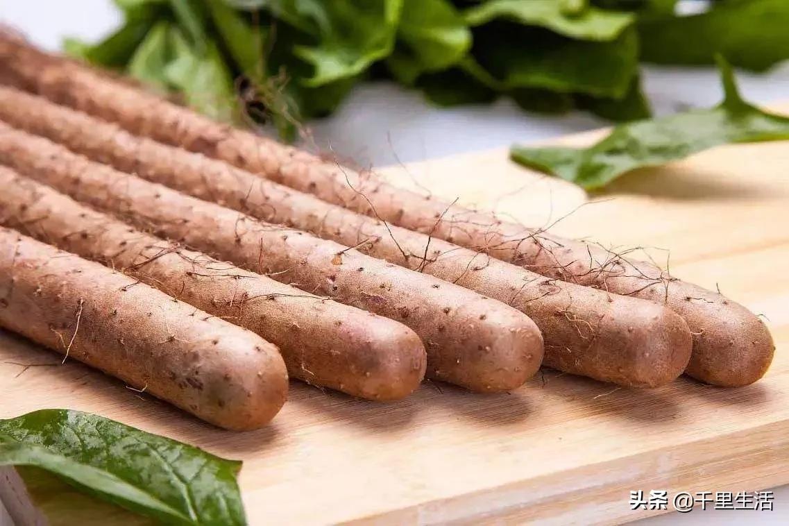 河北小白嘴山药多少钱一斤,新鲜品质正宗小白嘴山药