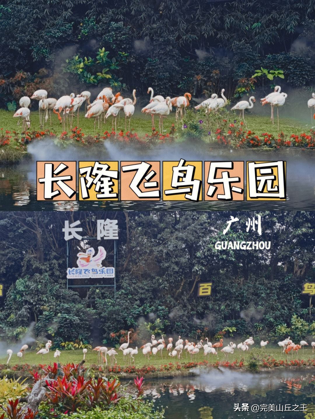 广州5a景区正佳广场,广州5a景点排名大全