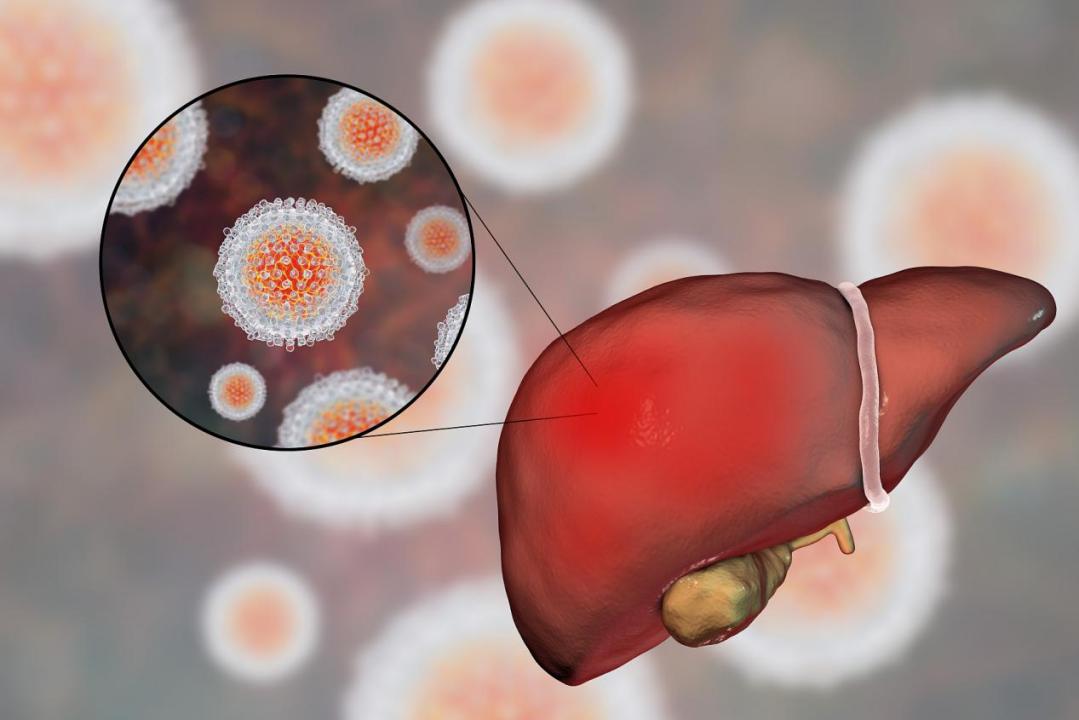 谷丙转氨酶高和谷草转氨酶的区别,谷丙转氨酶与谷草转氨酶有何区别