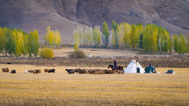 可可托海传奇疆菜,信马游疆可可托海