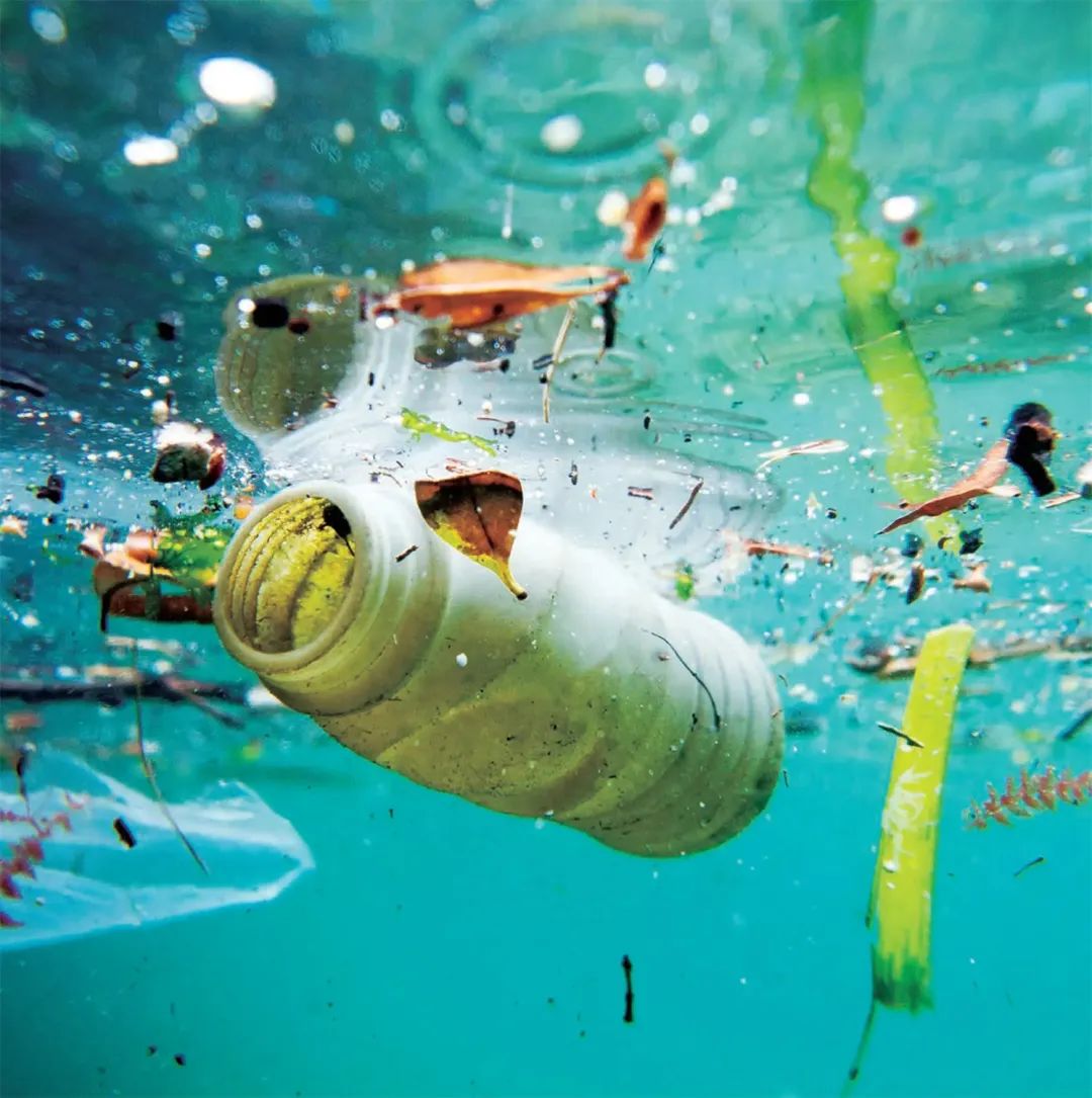 足不出沪旅游,足不出沪食遍江南