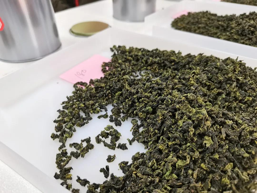 厦门安溪商会茶王赛现场直播,安溪铁观音秋季茶王赛获奖名单