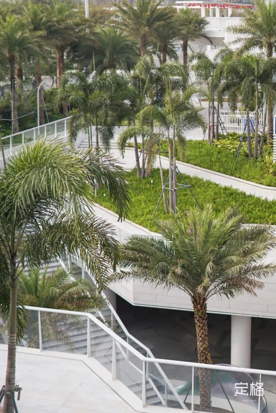 深圳10公里跑步路线,深圳跑步路线推荐塑胶跑道