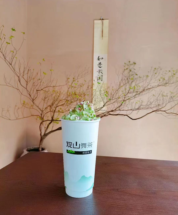 鍗楅槼搴滆瑙傚北鑸炶尪,搴滆瑙傚北鑸炶尪鍥㈣喘