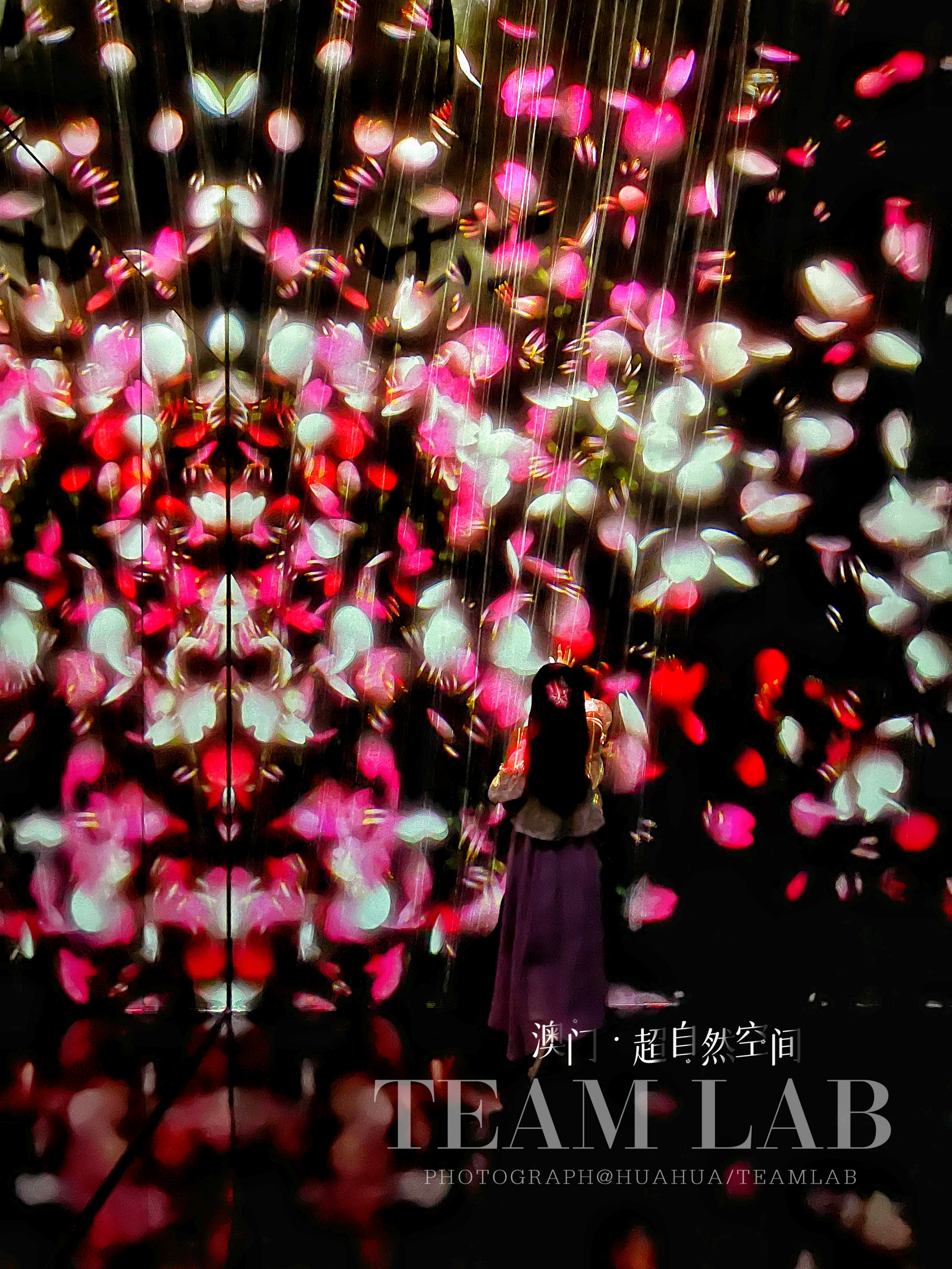 澳门旅游攻略自由行五一,澳门旅游攻略自由行一天夏天