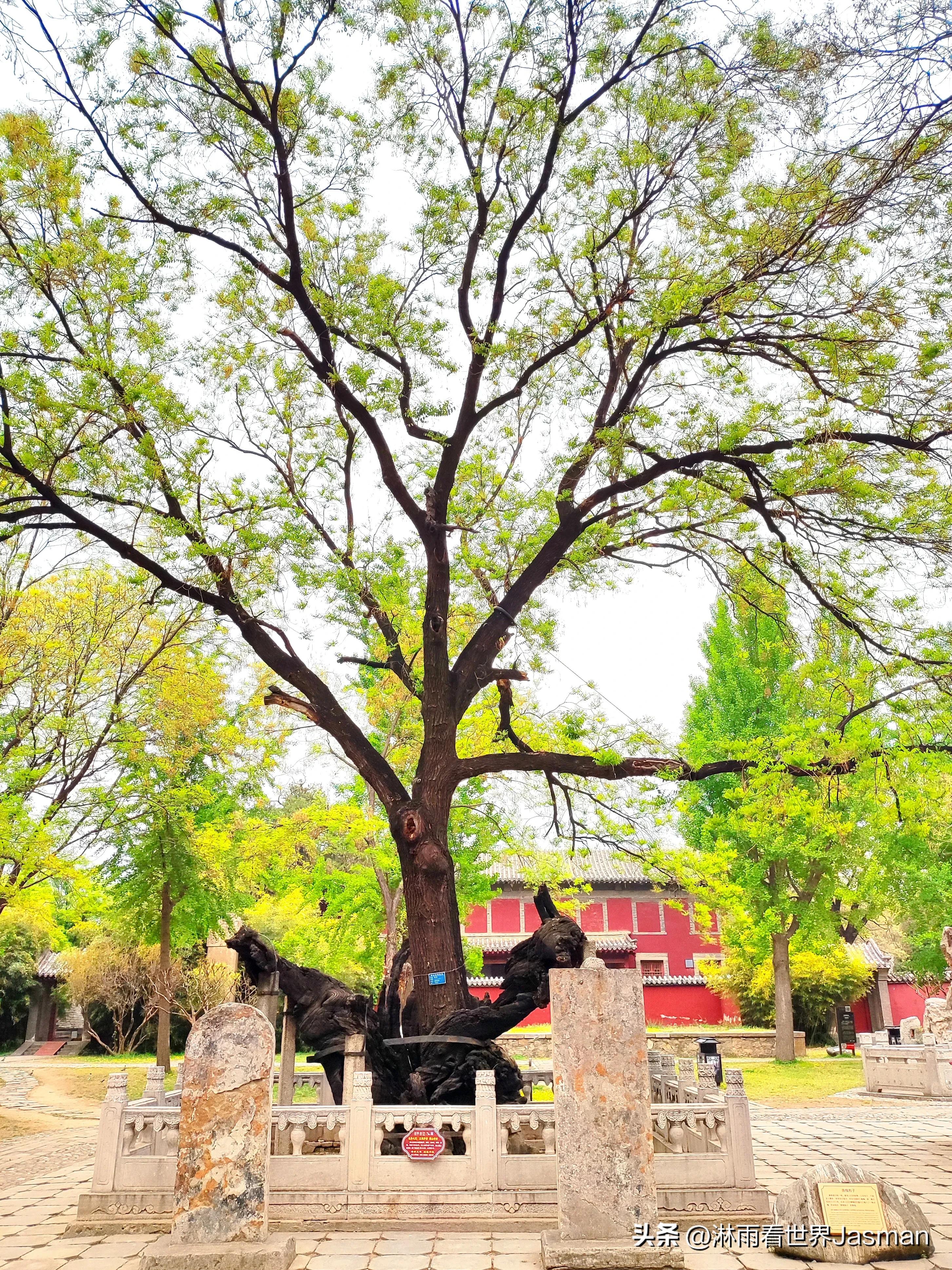 泰山庙东岳庙,泰山东岳大帝庙是岱庙吗