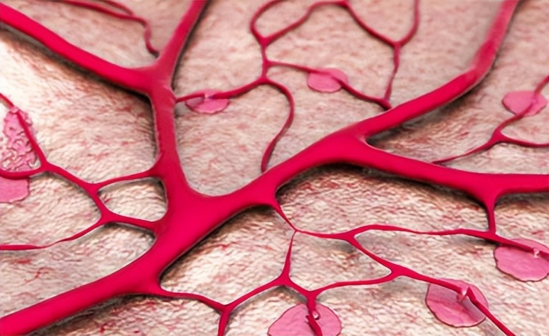 红酒泡洋葱能软化血管吗,红酒泡洋葱能否软化血管