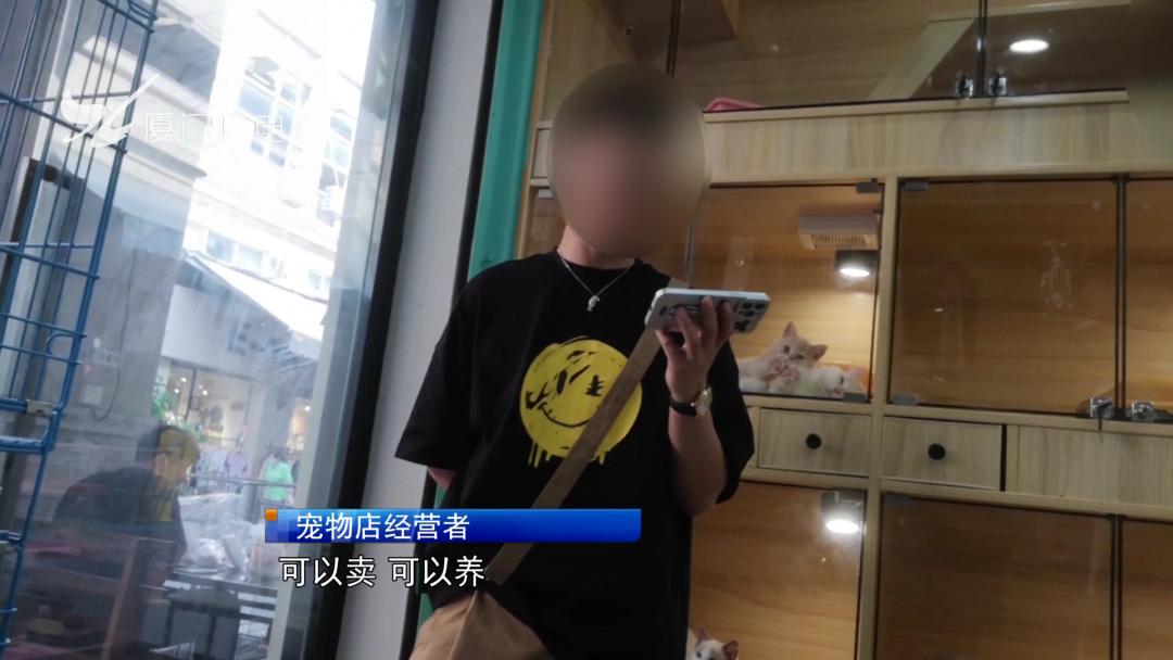 限养区犬规定厦门,禁犬令厦门