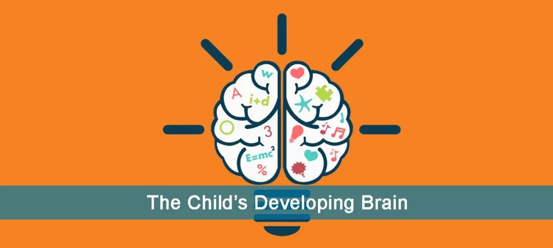 哈佛脑科学博士,哈佛研究发现儿童大脑发育高峰期