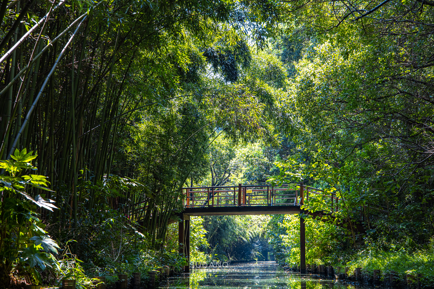 苏州吴江区六大名镇,苏州吴江最有发展区是哪里
