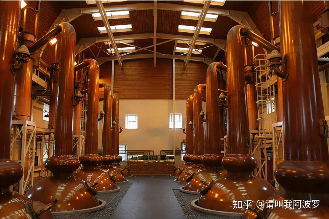 白兰地和威士忌哪种更有收藏价值 (威士忌和白兰地有何不同)