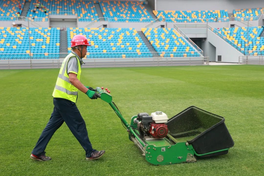 最新天津泰达足球场比赛,天津泰达足球场世界级