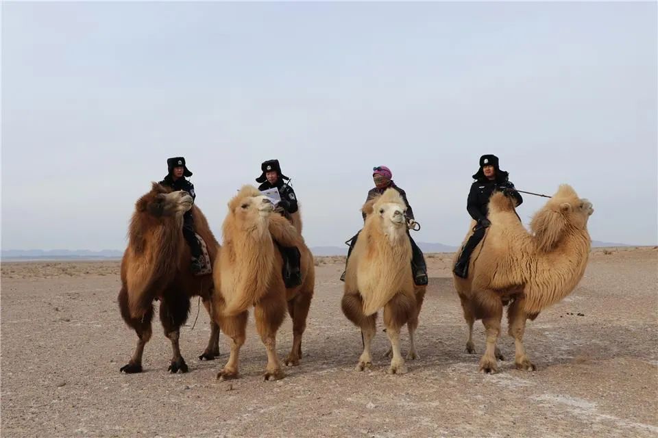 算井子边境派出所,算井子边防派出所电话