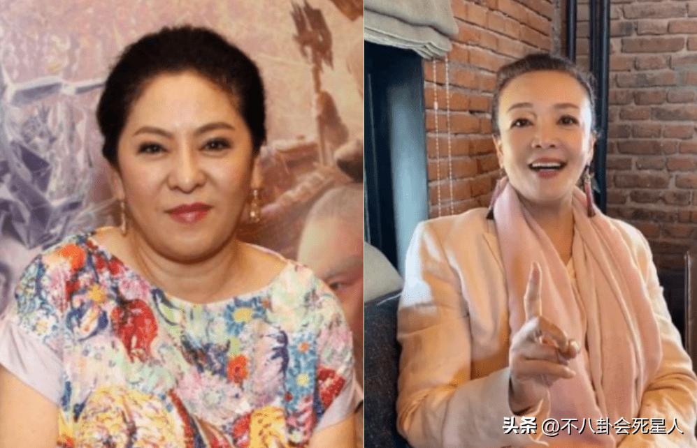 向太张兰对比,向太和张兰的对比