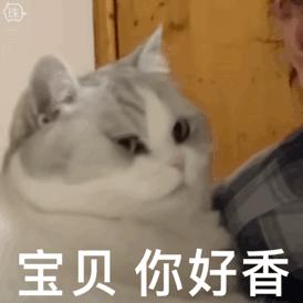 支持扩展的手机浏览器,支持扩展的ios手机浏览器