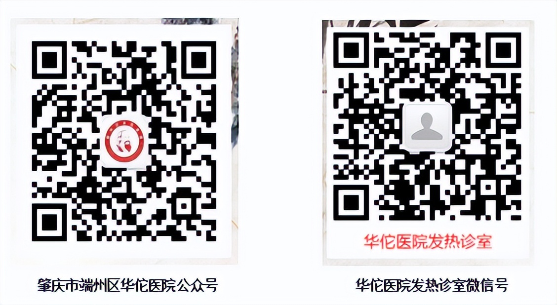 端州区新冠疫情最新信息 (肇庆市端州区抗新冠疫情免费领药)