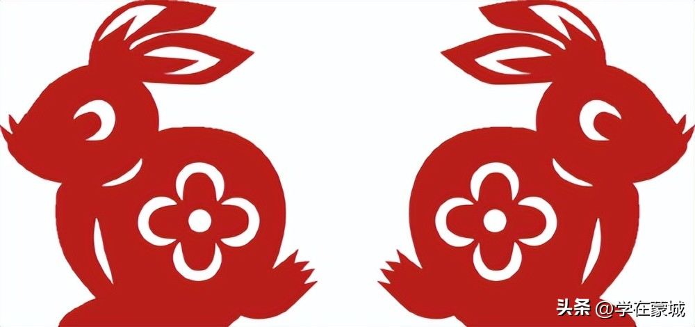 蒙城县八中高中招生办,蒙城县八中招生代码是多少