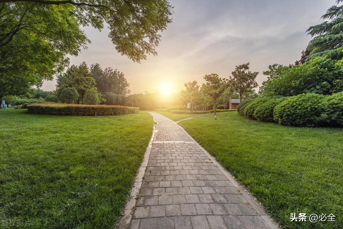 园林草坪要做什么,草坪景观布置