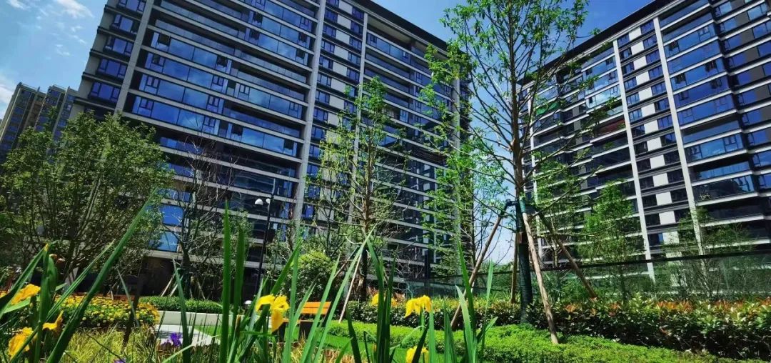 企业深度观察,企业观察