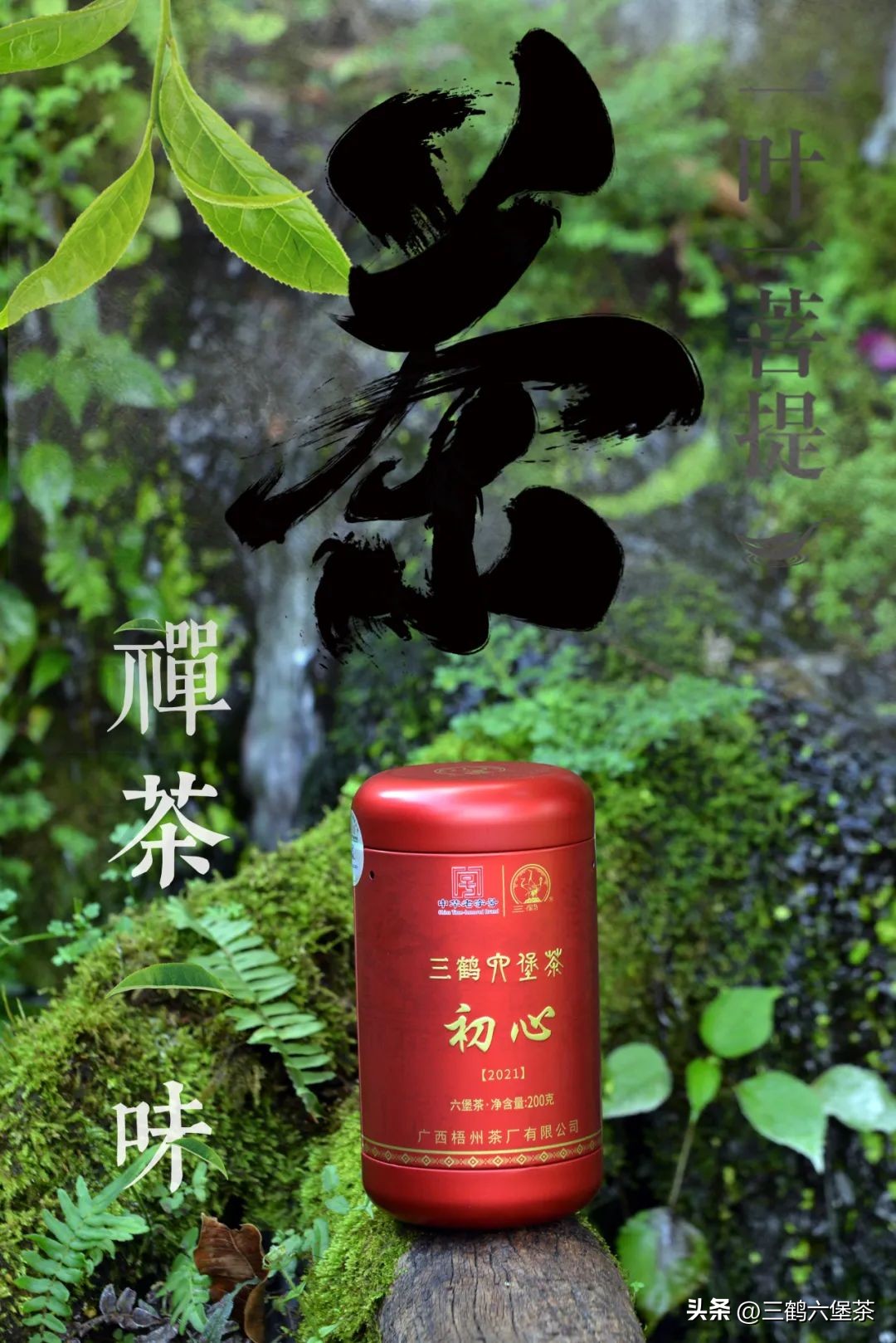 中秋礼品茶图片大全,中秋礼茶有哪些