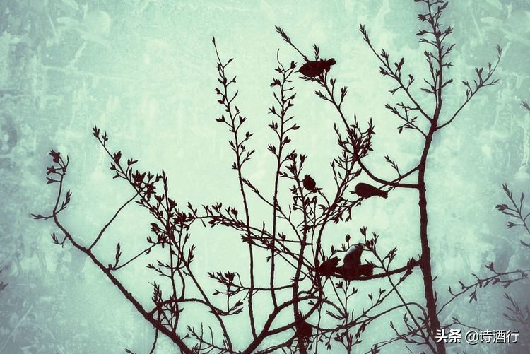 “昔人已乘黄鹤去”，继忠已经离开我们整整一年了