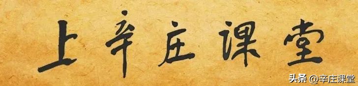 杨小凯人生经历,杨小凯的一生