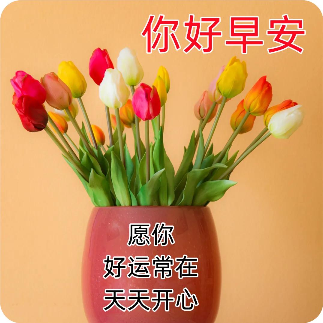 6月5日周一早安快乐！新的一天健康平安幸福安康图文