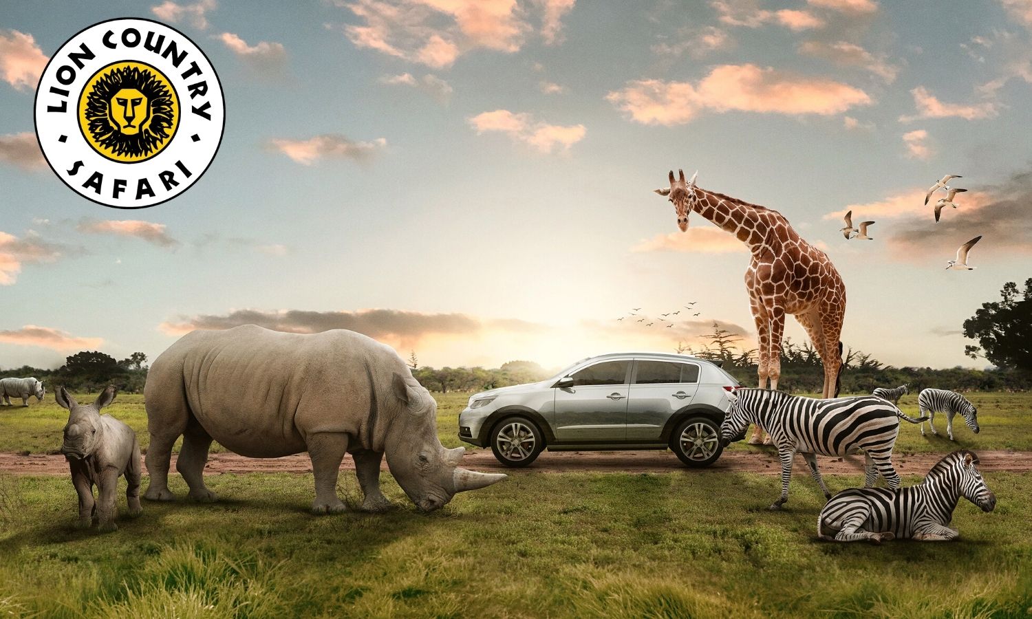 最详细的迈阿密旅游攻略,美国迈阿密3天旅游攻略