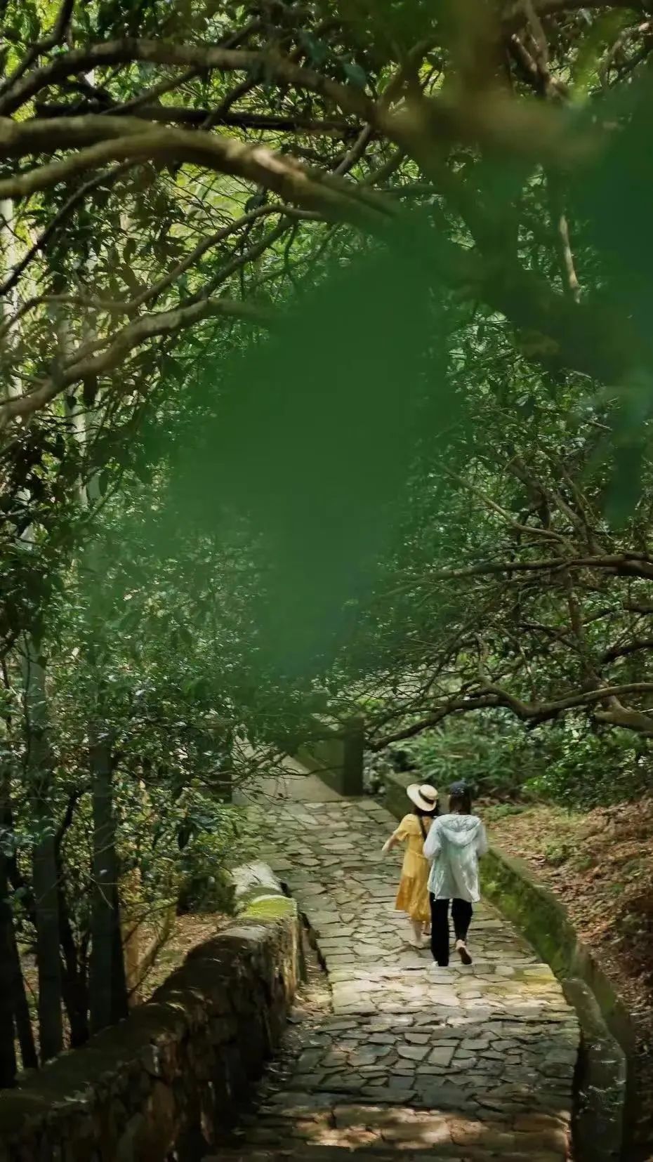 夏天凉快风景好又有水的旅游景点,夏天旅游景点哪里最好玩