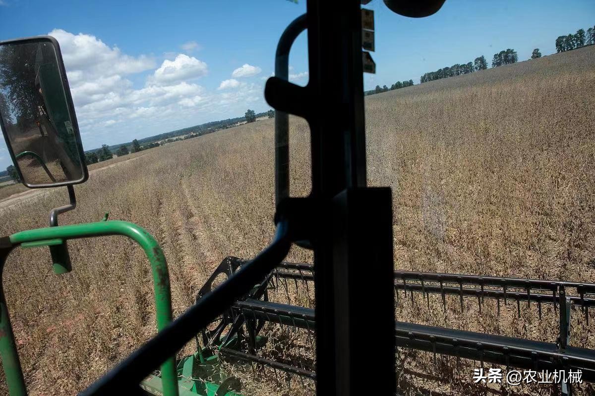 2023巴西大豆种植面积,巴西大豆2024单产