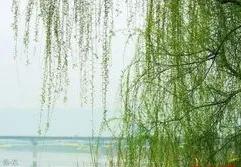 鏃跺厜娓呮祬宀佹湀瀹夌劧闈欏ソ,鏄ユ繁澶忔祬宀佹湀闈欏ソ