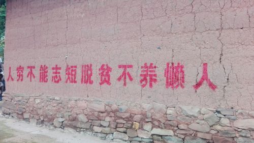 为何中国人勤劳，但大多不富裕？只因忽略了这些东西，发人深思