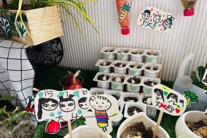 生态环创幼儿园自然角,幼儿园环创自然角实验