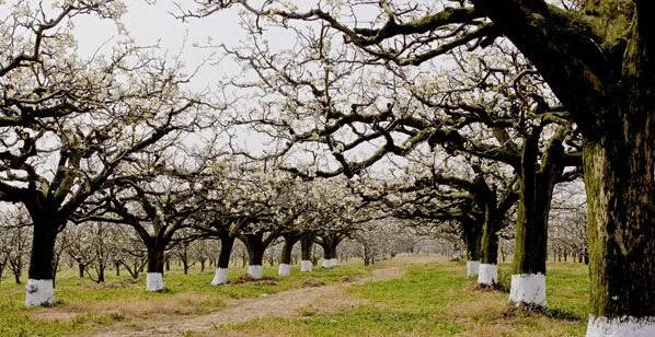 北京大兴附近旅游城市,中国旅游地图打卡