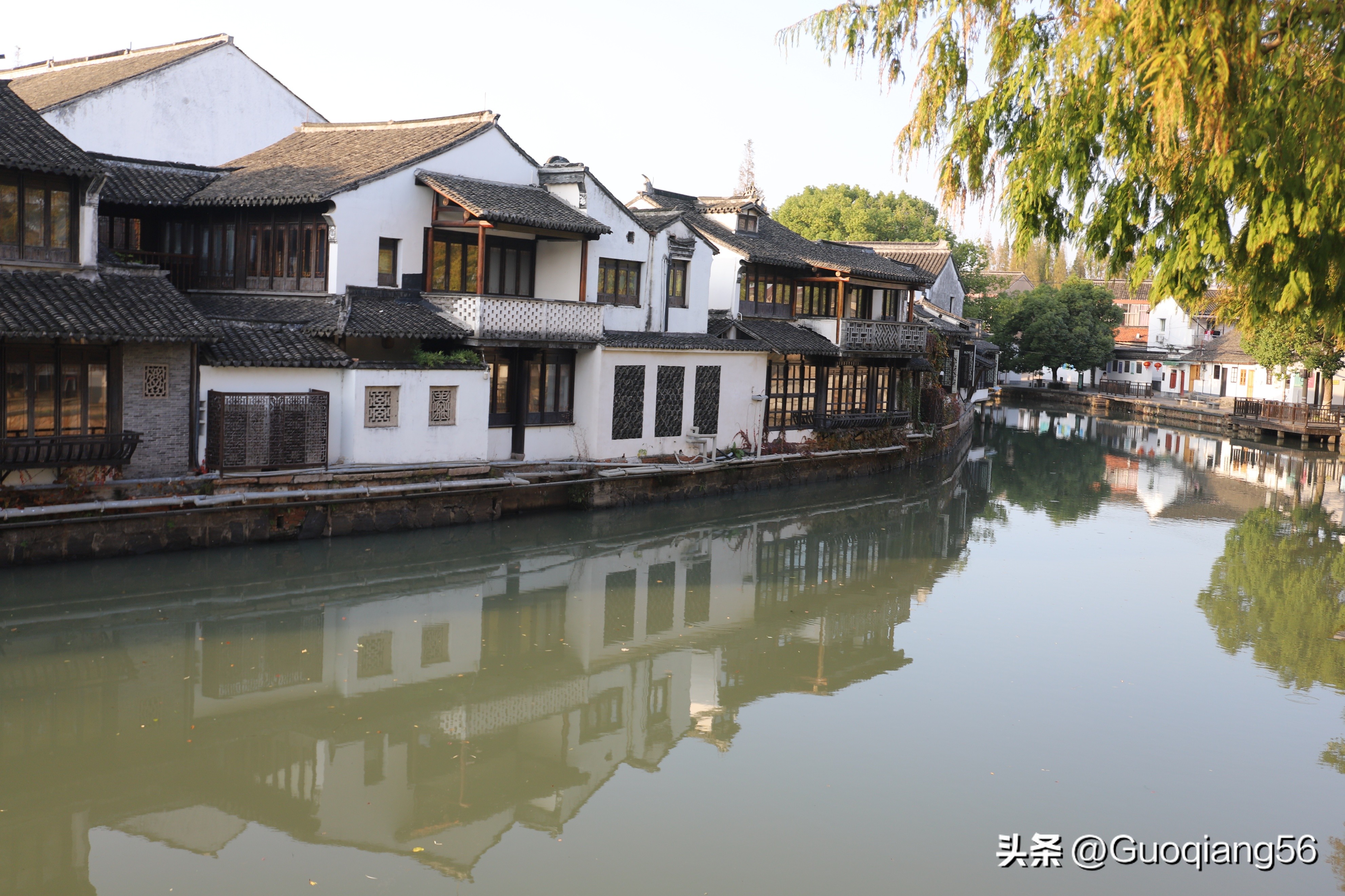 上海动物园门票老年人免费,上海双休日老年人最多的公园在哪