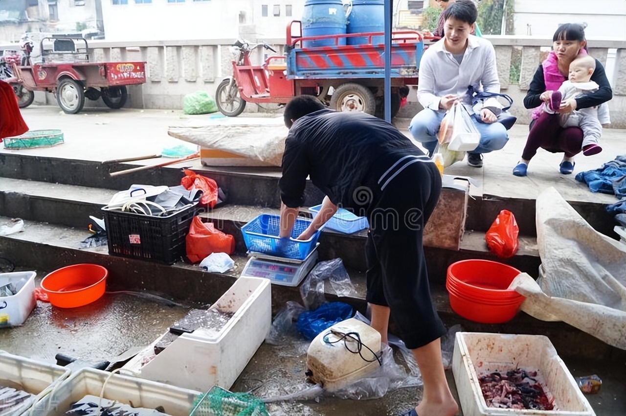 我表弟,包了20亩浅水塘,一年净赚45万,昨天刚提了新车