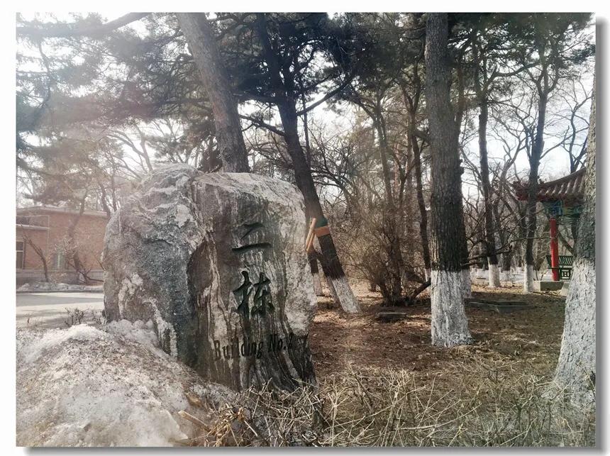 打卡人世间拍摄地,长春人世间取景地宾馆