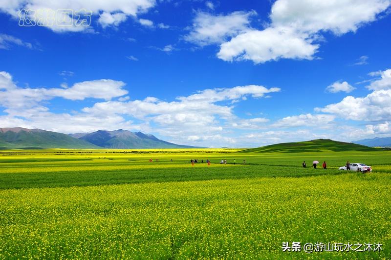 看油菜花的好地旅游攻略,看油菜花哪里最值得去