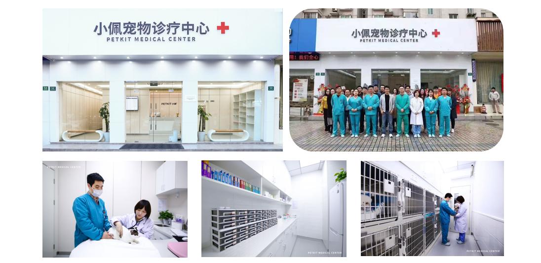 宠物基础服务包括什么服务,宠物服务包括哪些内容呢