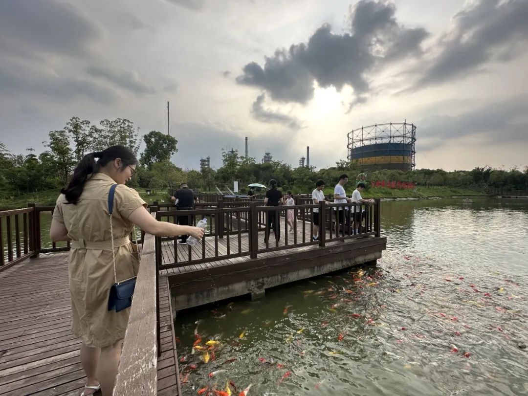 全国生态环境日主题,全国生态日绿水青山就是金山银山