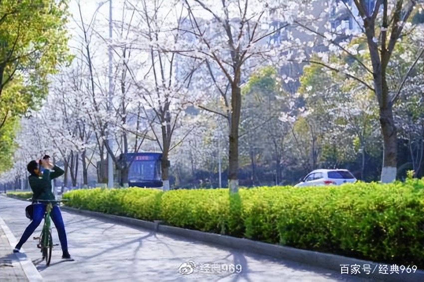 关于千岛湖最有名的诗句,赞千岛湖美景的最佳诗句