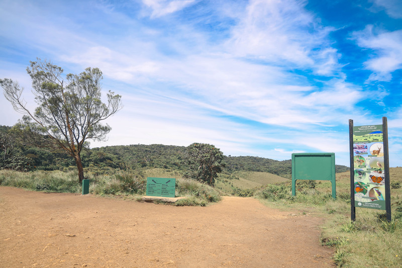 斯里兰卡旅游攻略必去景点,斯里兰卡最佳旅游攻略