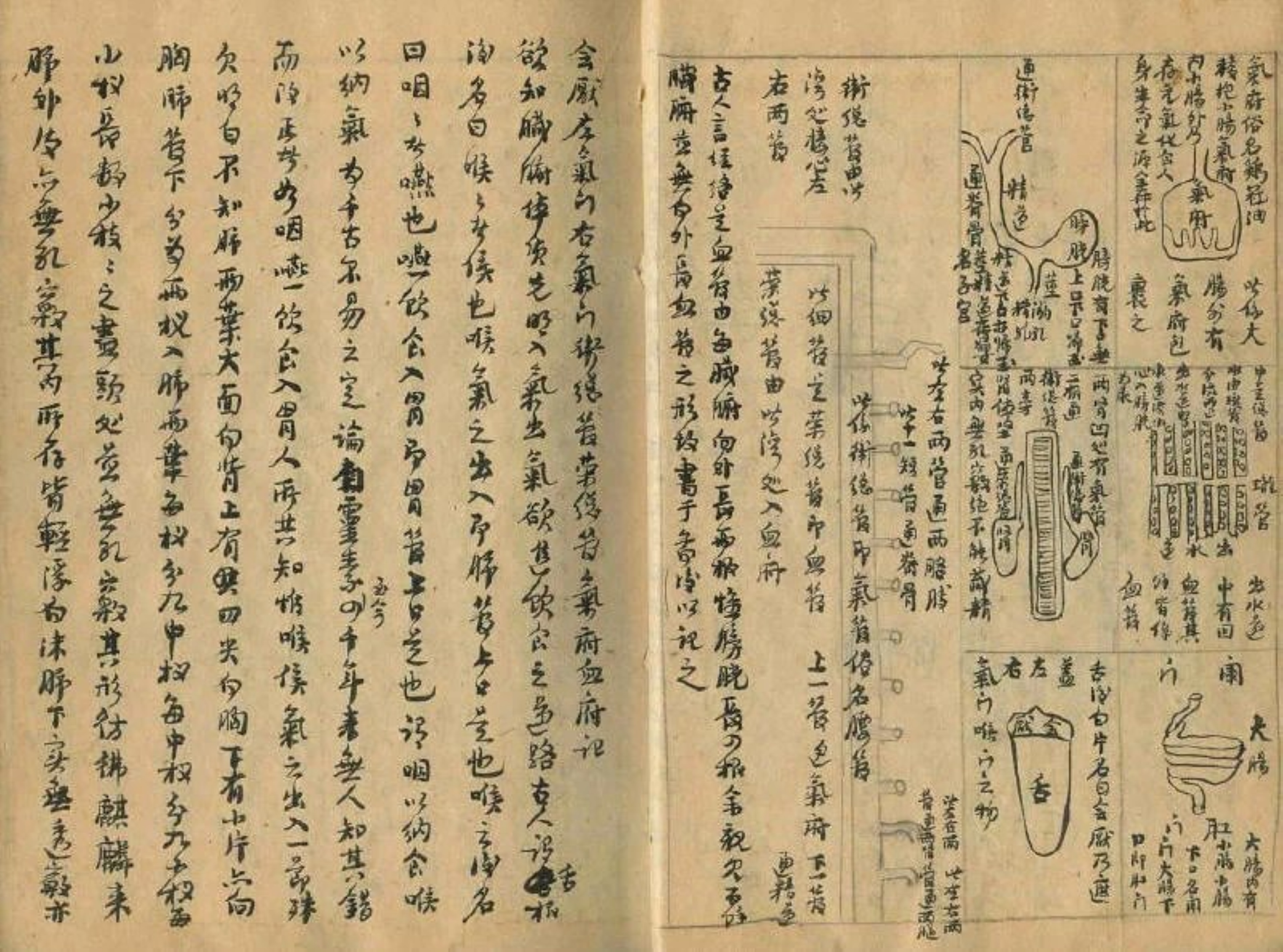 民间中医验方秘方手抄本汇集,中医治半身不遂最好的方法