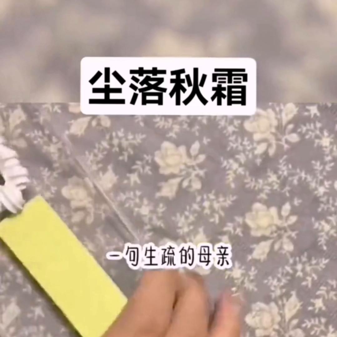 尘落秋霜小说后续,尘落寒霜