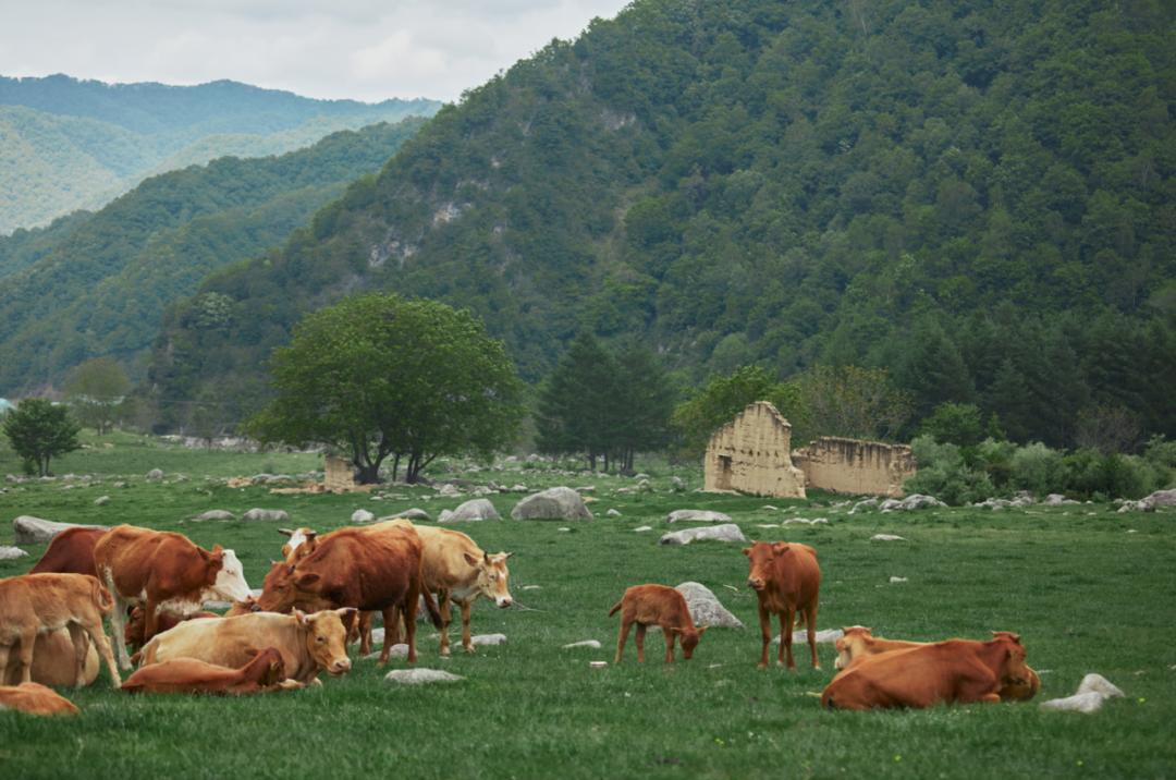 汉中旅游攻略两天一夜品汉中美食,汉中市旅游攻略亲子游