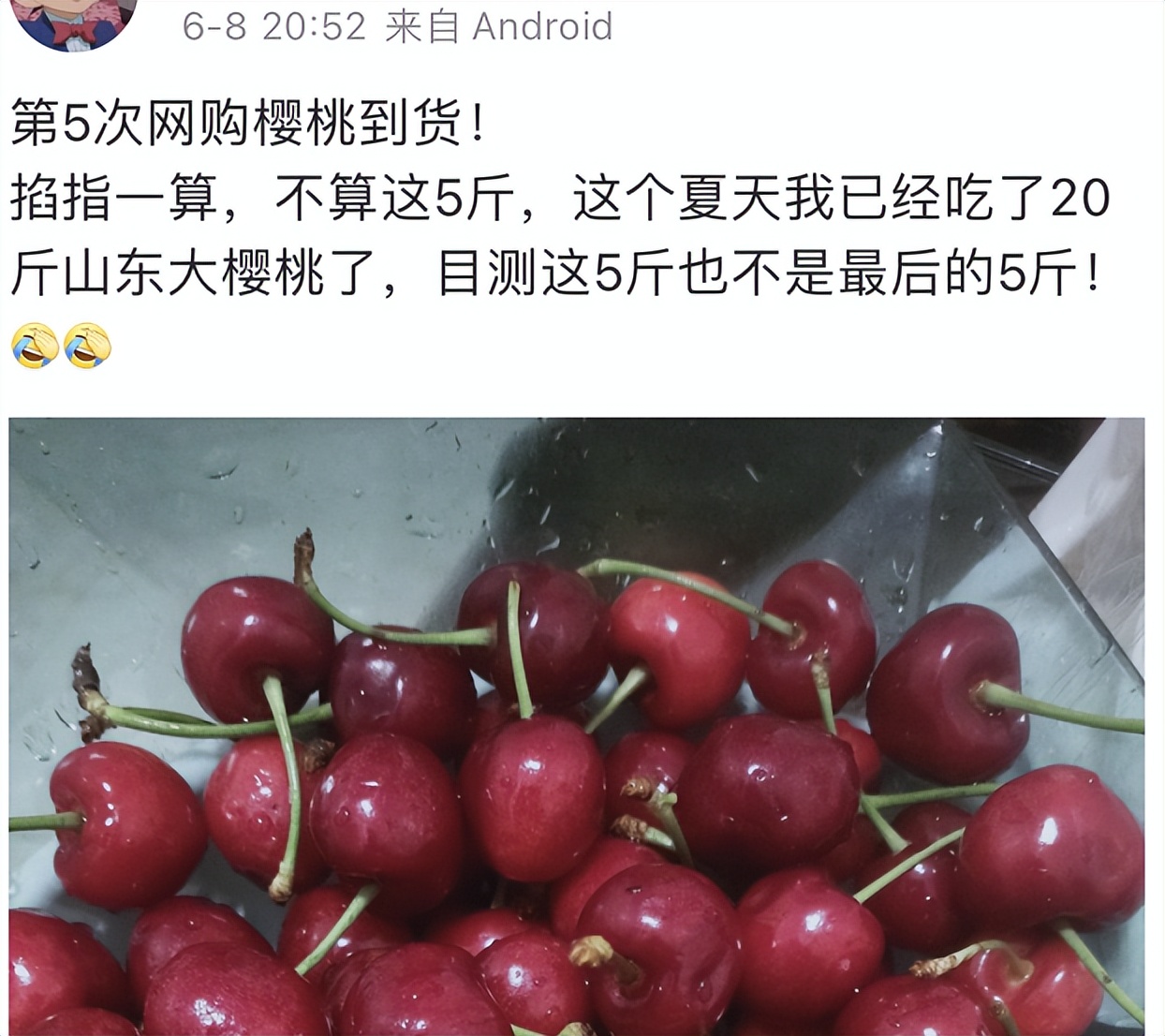 水果中的爱马仕多少钱,高端水果中的爱马仕