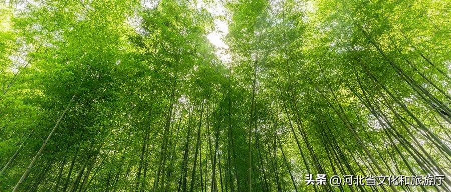 中国夏季避暑胜地排名前十,中国十大避暑胜地第一名你想不到