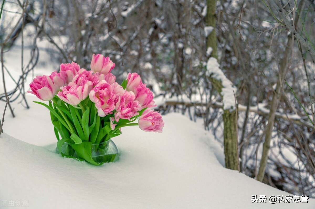 我喜欢现在的自己拼音,我喜欢现在的自己歌曲
