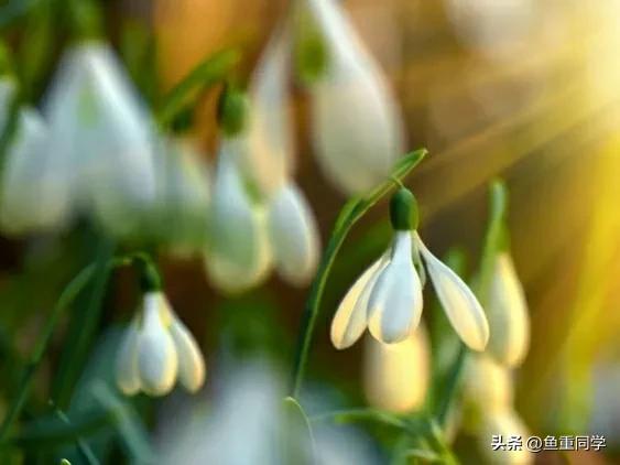闰二月为什么好,闰年闰月有什么讲究和忌讳