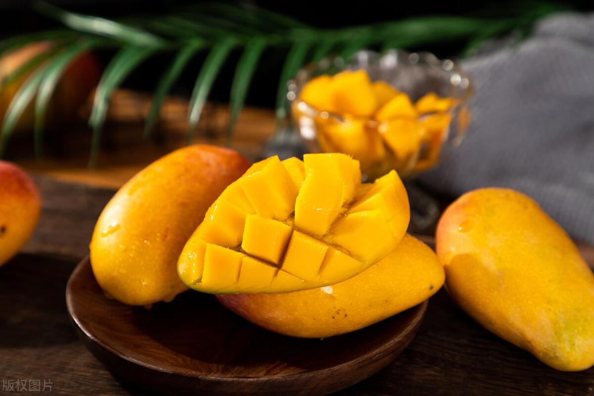 最佳减肥食谱12种天然减肥食物,减肥吃什么食物能快速瘦下来